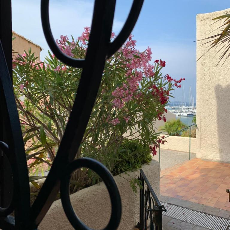 La terrasse tropézienne - Appartement 1 Chambre - 31