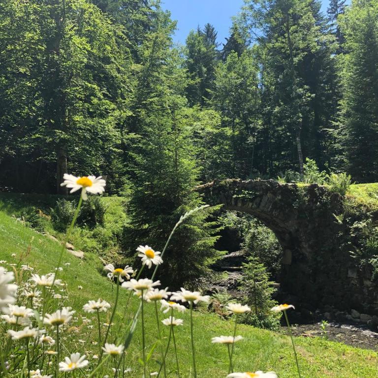 Le Moulin des Olirics - Apartment mit 2 Schlafzimmern und Bergblick - 27
