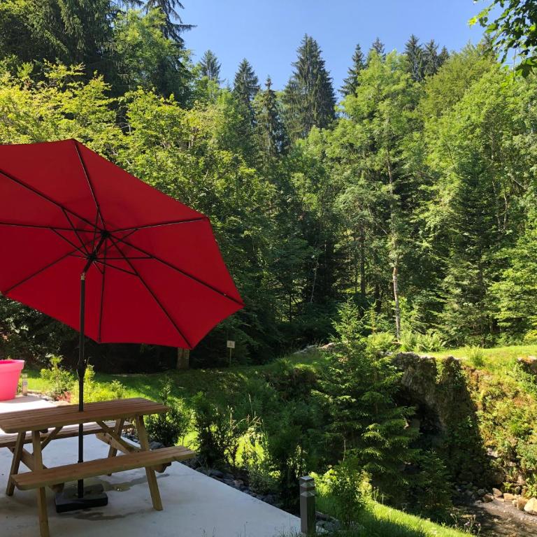 Le Moulin des Olirics - Apartment mit 1 Schlafzimmer mit Flussblick - 18