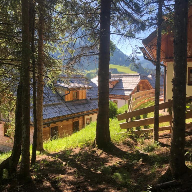 Bergdorf Riesner - Chalet mit 2 Schlafzimmern - 10