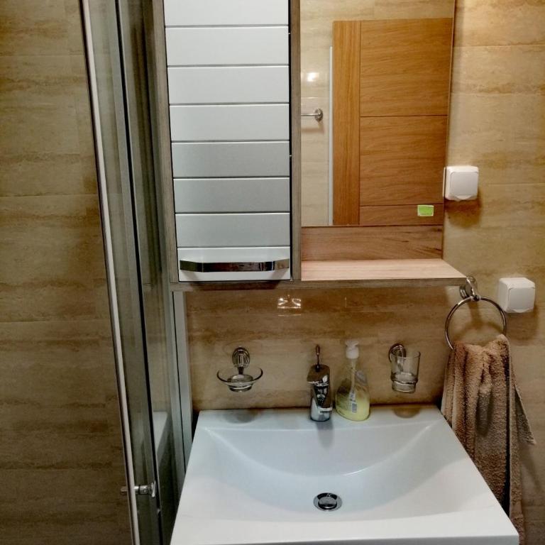 Apatman Sergej - Apartman sa 1 Spavaćom Sobom - 4