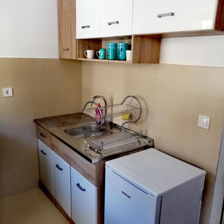 Apatman Sergej - Apartman sa 1 Spavaćom Sobom - 11