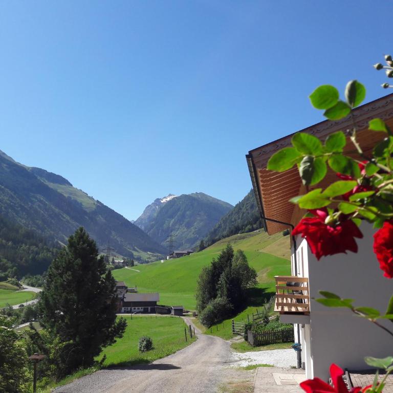 Oberhaidbachhof - Apartment - 28