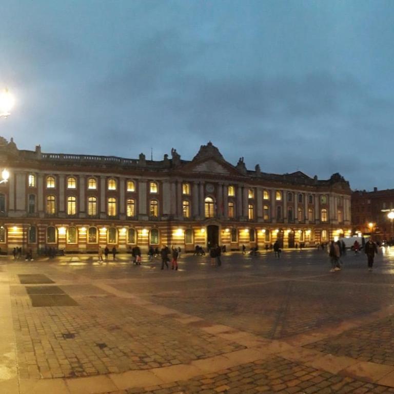 :) Grand studio lumineux à Toulouse et parking - Estudio Deluxe - 44