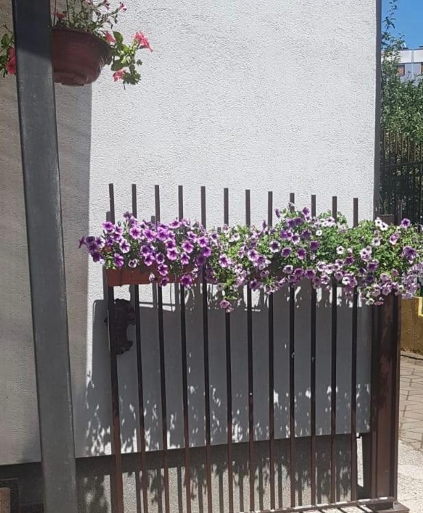Sun Garden Sarajevo - Apartman - 5