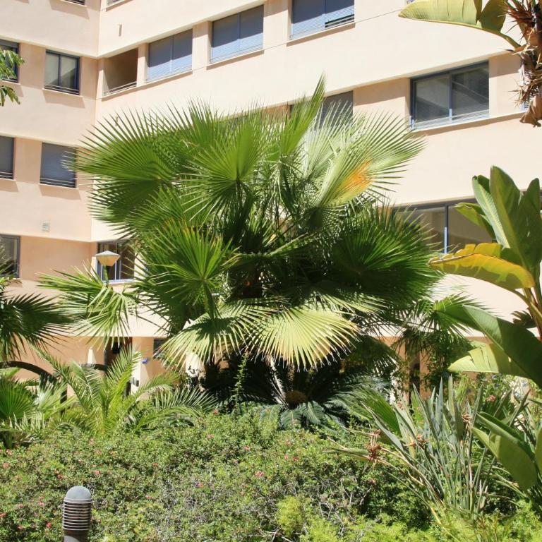 APARTAMENTO MALAGA CENTRO Y PLAYA-PARKING - Apartamento de 1 dormitorio - 23