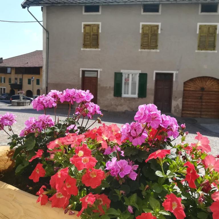 Da Rinota in Alta Val di Non - Apartamento - 9