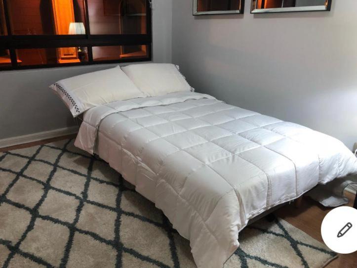 Stay Santiago Lastarria Bellas Artes - Standard Apartment - 49