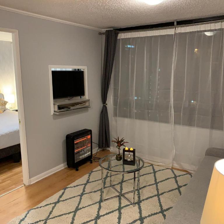 Stay Santiago Lastarria Bellas Artes - Standard Apartment - 47