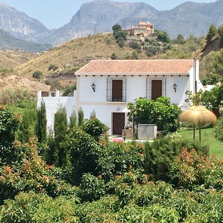 Villa Monica - Villa - 1