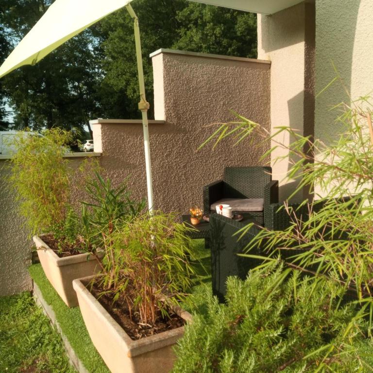 Résidence Park de Vincennes - Appartement - Vue sur Piscine - 8