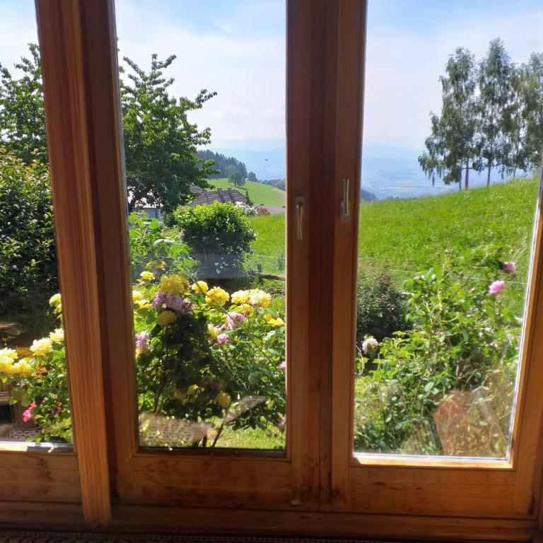 Urlaub im Blockhaus - Apartment mit Gartenblick - 7