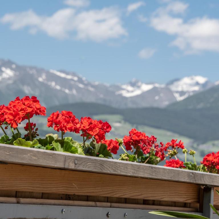 Forchnerhof Panorama- Rienzschlucht - Appartamento con 2 Camere da Letto - 26