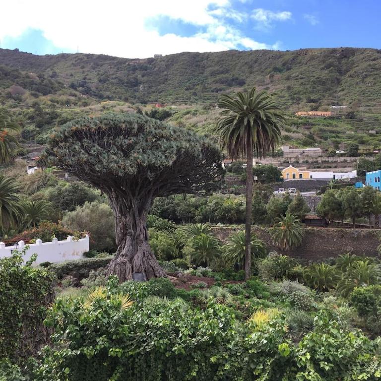 #Ocean view studio #WIFI - Apartamento Estudio con vistas al mar - 11