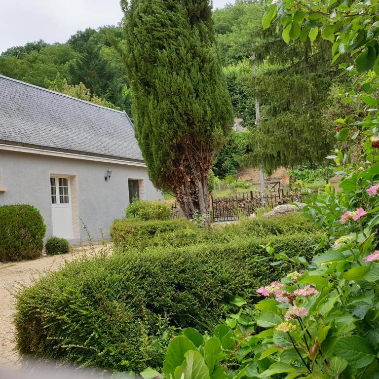 Studio Fontaine d’amour - Studio - 11