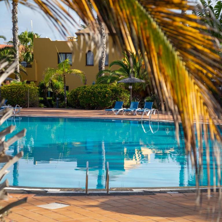 Blu Gardenia - Apartamento - 43