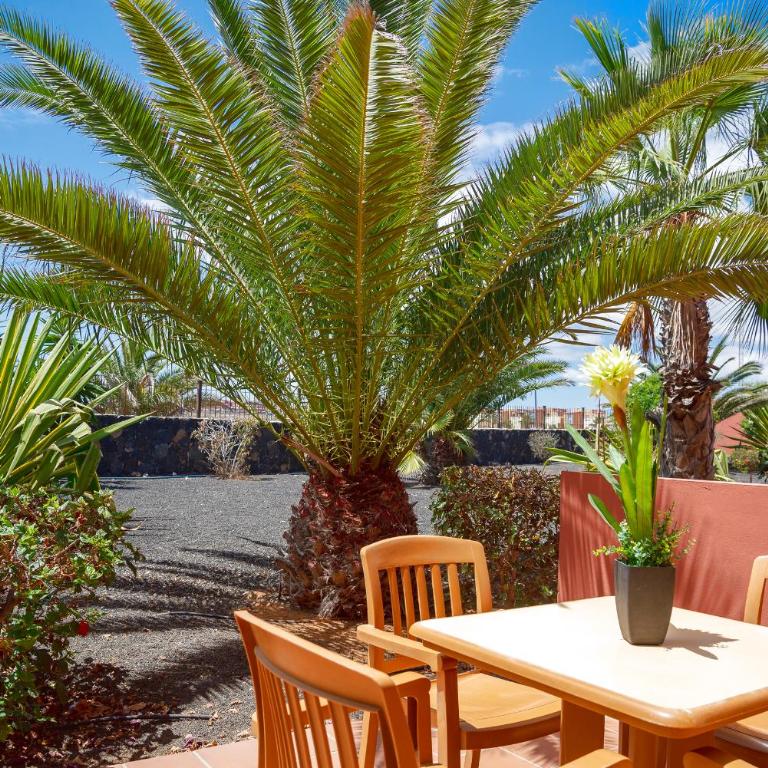 Blu Gardenia - Apartamento - 1