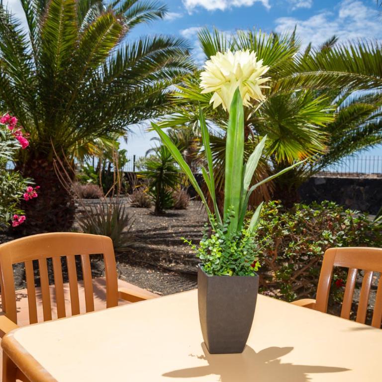 Blu Gardenia - Apartamento - 3