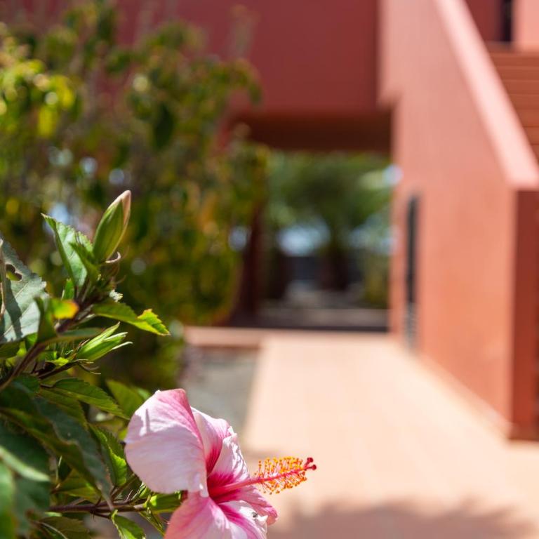 Blu Gardenia - Apartamento - 4