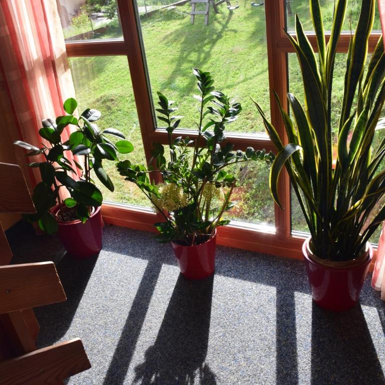 Pension Appartement Ambrosi - Apartment mit 1 Schlafzimmer und Balkon - 1