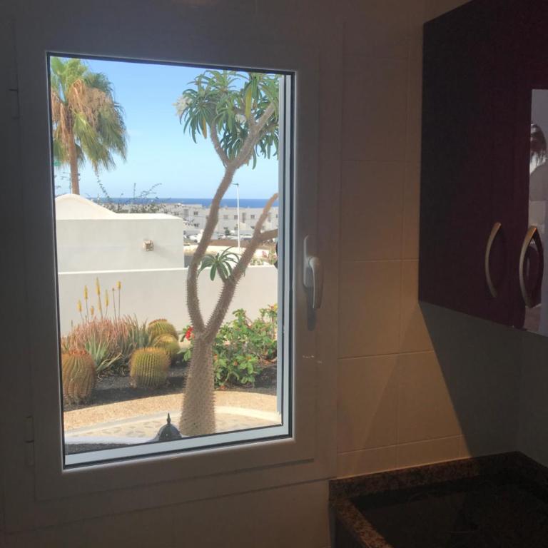 Los Panelos B1 - Apartamento - Planta baja - 23