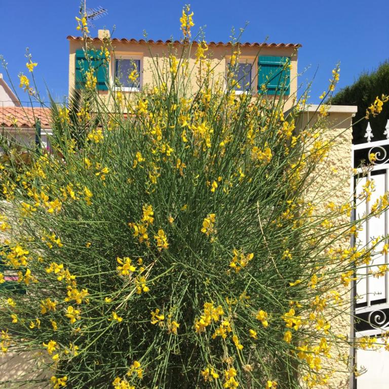 Maison de vacances au calme proche de la mer - Villa 1 Chambre - 20