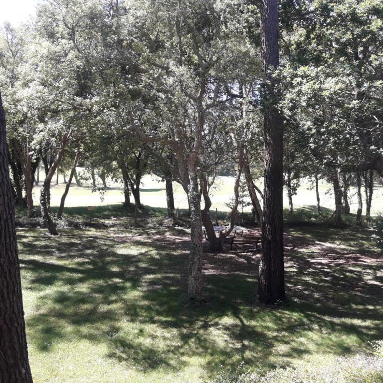 Moliets Plage Appartement pour 4 Piscine proche Plage et Commerces - Appartement 1 Chambre - 11
