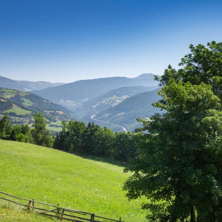 Hansbauer Appartments - Apartment mit Blick auf die Berge - 11