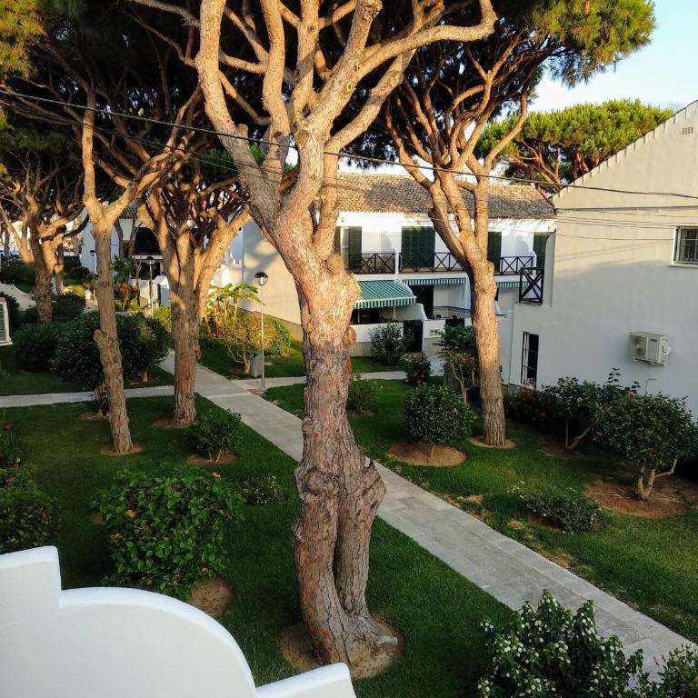 La Barrosa duplex - Casa de 2 dormitorios - 58