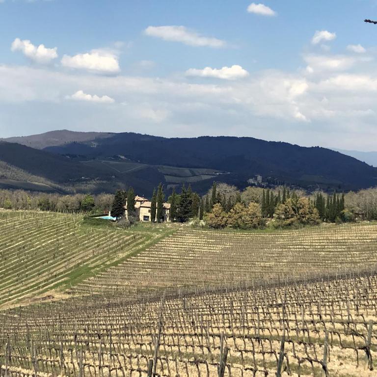 Villa LisiDor - Villa - 29