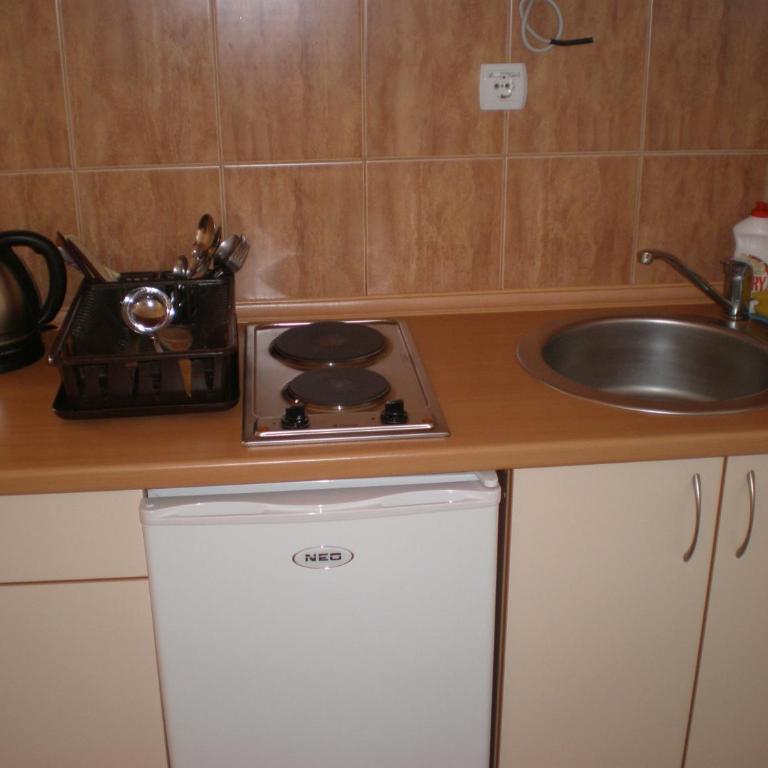 Apartments Vila Lazarevic - Studio s pogledom na more (2 odrasle osobe) - 3