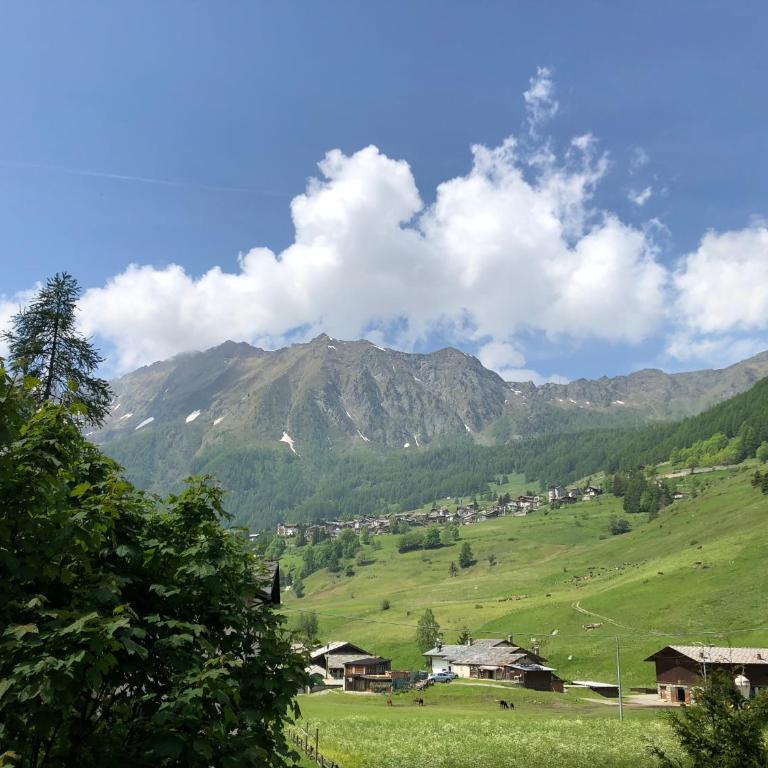 R.T.A. Hotel Monte Rosa - Two-Bedroom Apartment - 10