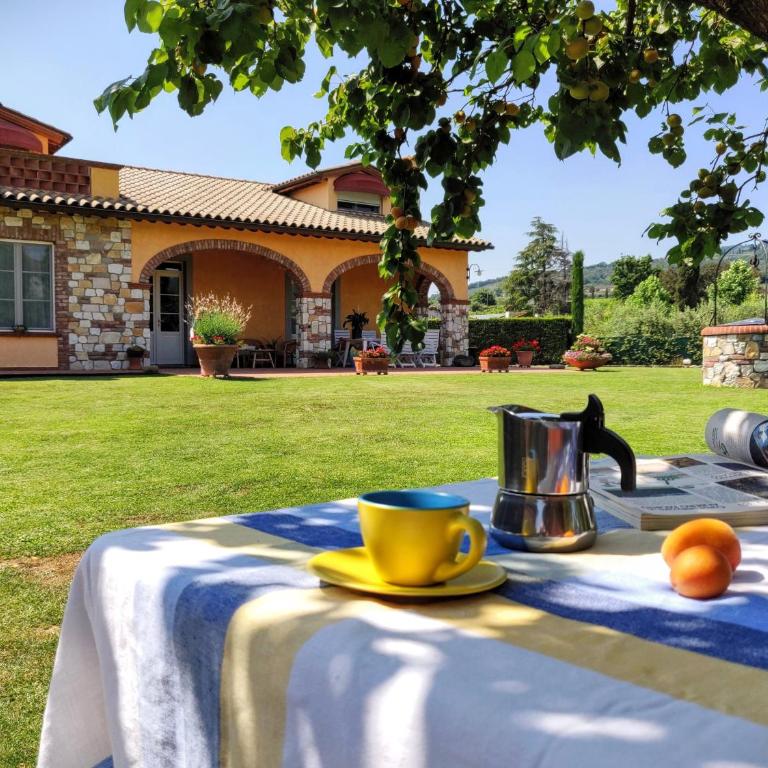 Tuscan Villa exclusive use of private pool A/C Wifi Villa Briciola - Villa con 3 Camere da Letto e Piscina Privata - 38