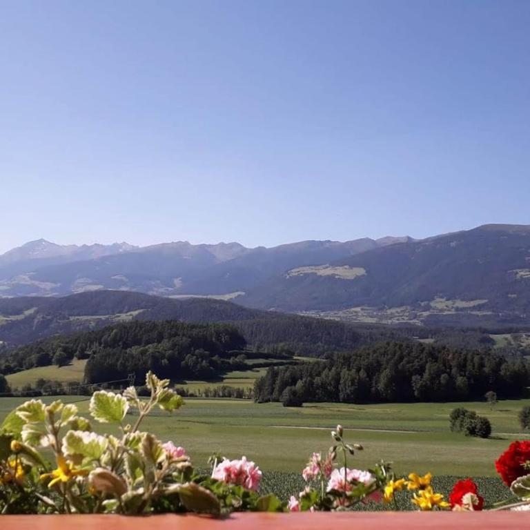 Residence Stefansdorf - Appartamento con Terrazza - 12