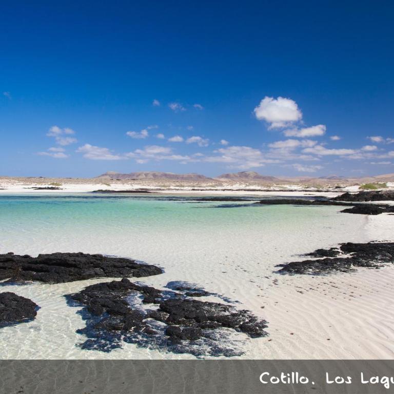 Cotillo Bay II Apartment - Apartamento de 2 dormitorios - 17