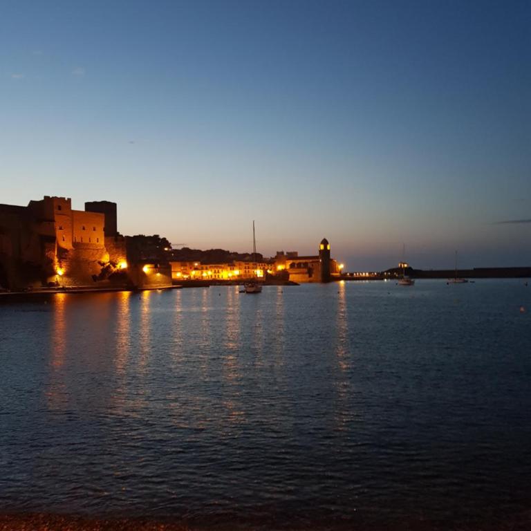 Appartement Charmant à Collioure - Appartamento con 1 Camera da Letto - 17