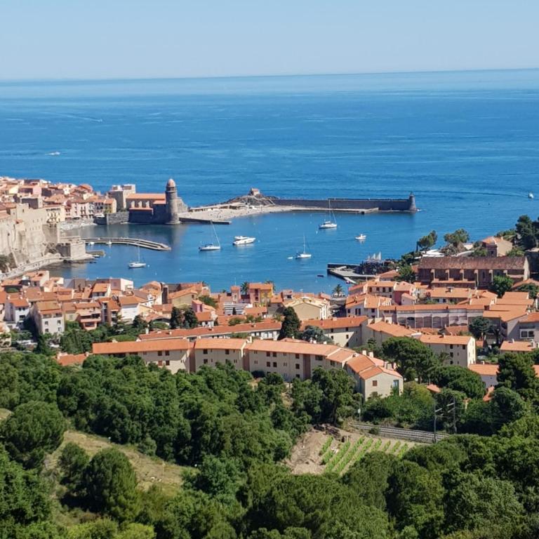 Appartement Charmant à Collioure - Appartamento con 1 Camera da Letto - 14