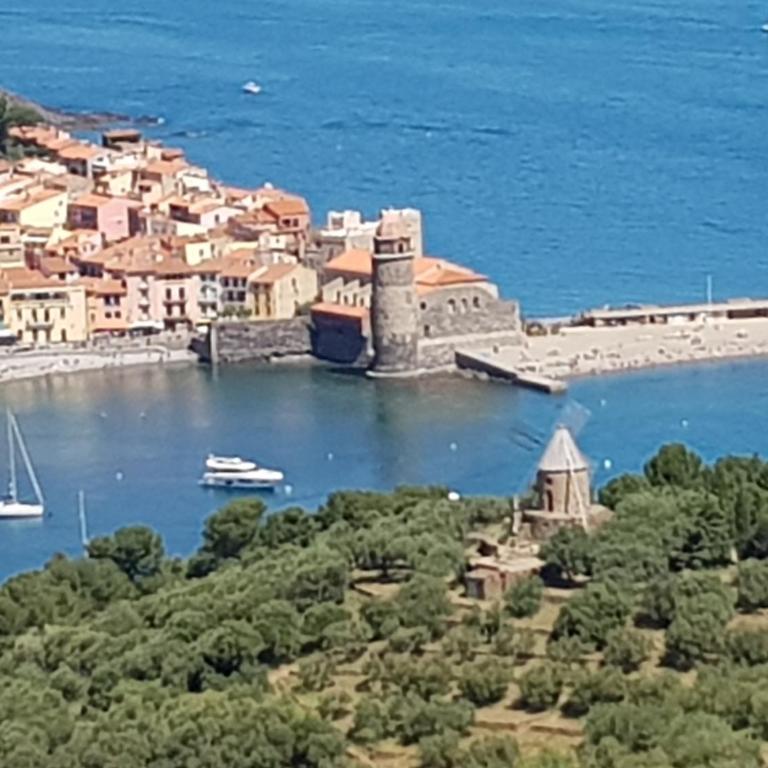Appartement Charmant à Collioure - Appartamento con 1 Camera da Letto - 15