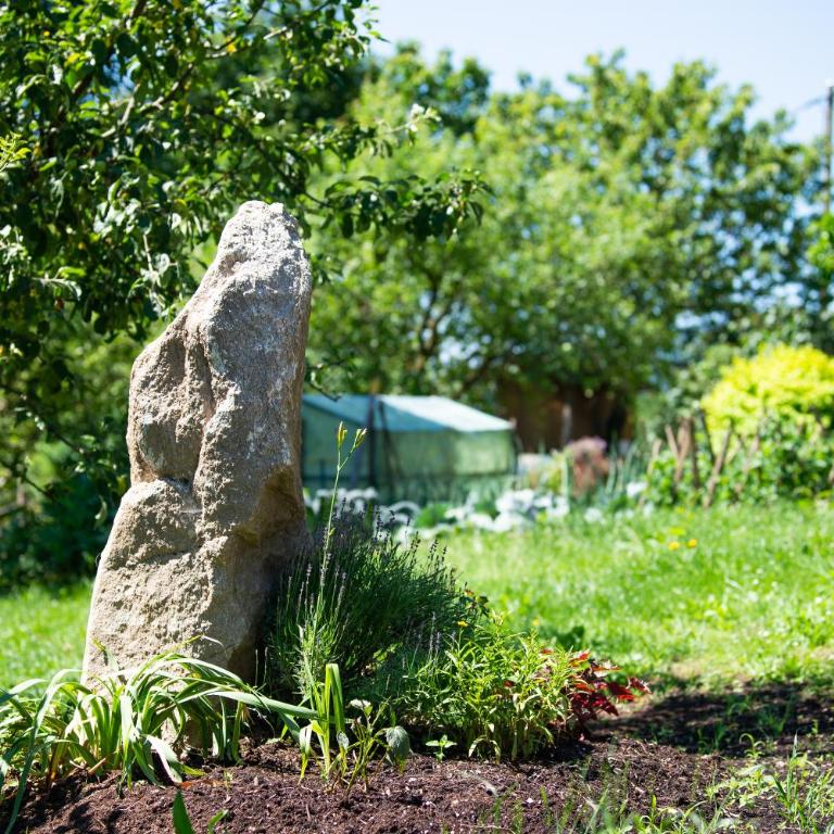 Hansbauer Appartments - Apartment mit Gartenblick - 13