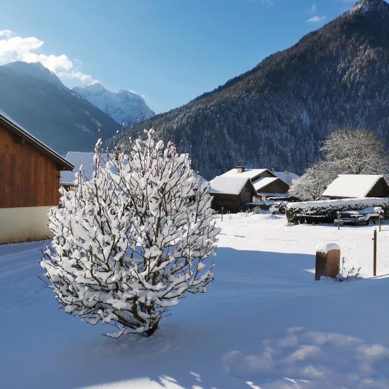 Mazot de Joe avec son hammam entre la Clusaz et Annecy - Chalet 1 Chambre - 7
