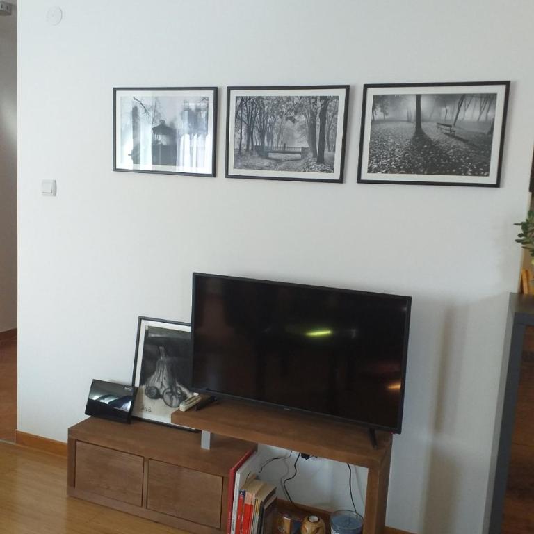 Sanjar - Apartman sa 1 Spavaćom Sobom - 6
