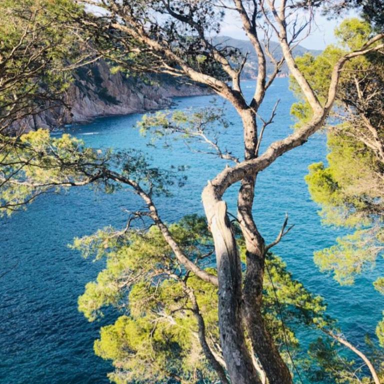 Chalana I, Cala Salions, Tossa de Mar - Apartamento - 84
