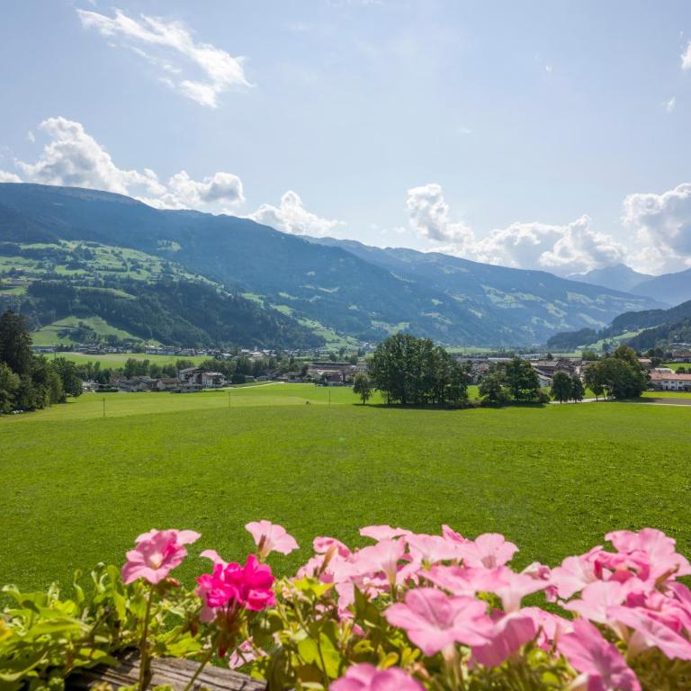 Hotel Pension*** Wiesenhof - Studio - 10