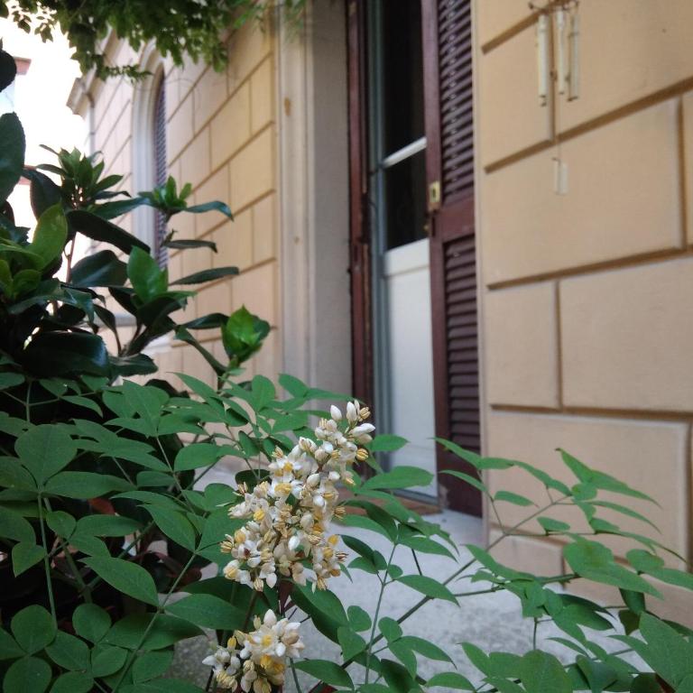 Tilia - Appartamento Superior - 5