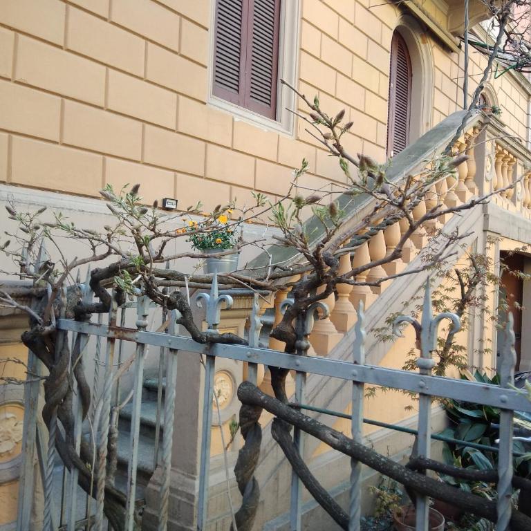 Tilia - Appartamento Superior - 7