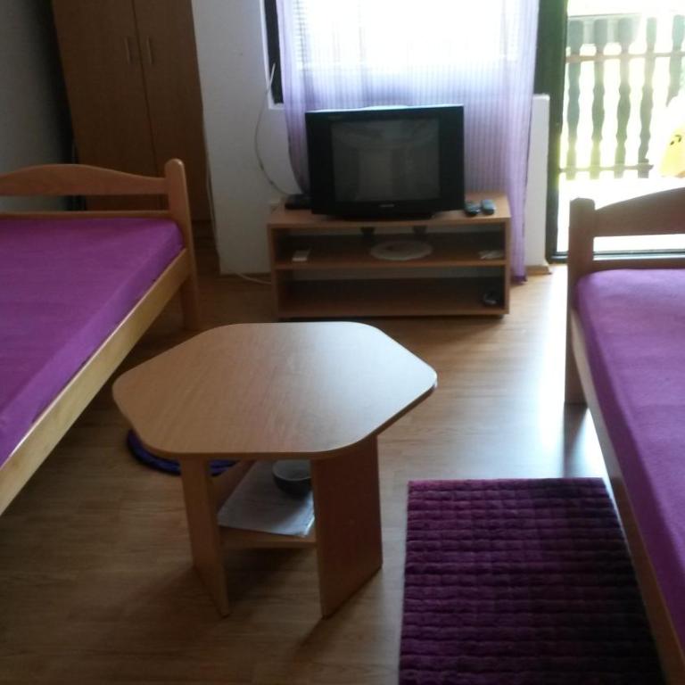 Apartments and rooms Villa Mačva - Banja Koviljača - Apartman sa Terasom - 20