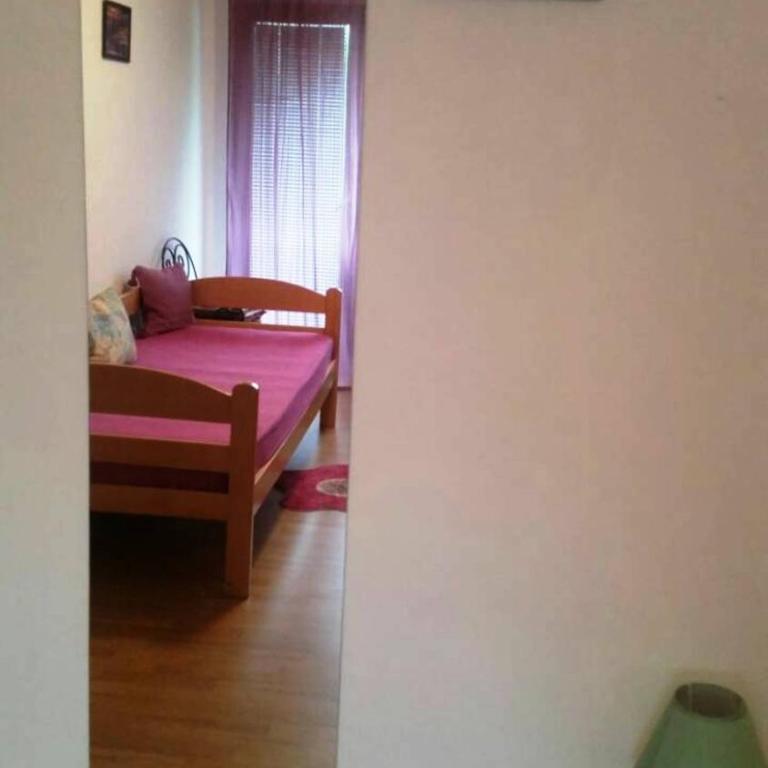 Apartments and rooms Villa Mačva - Banja Koviljača - Apartman sa Terasom - 19