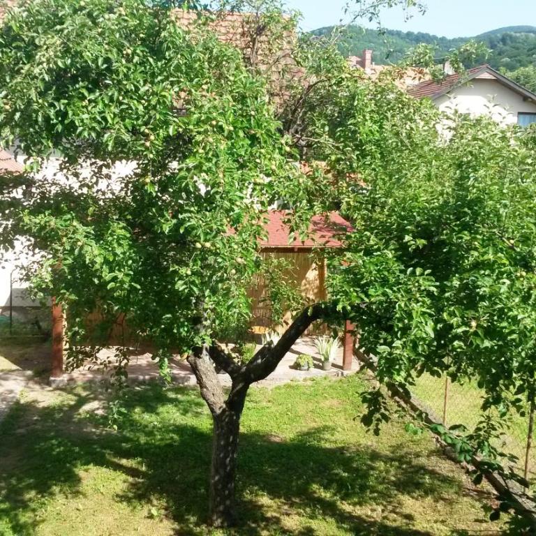 Apartments and rooms Villa Mačva - Banja Koviljača - Apartman - Prizemlje - 14