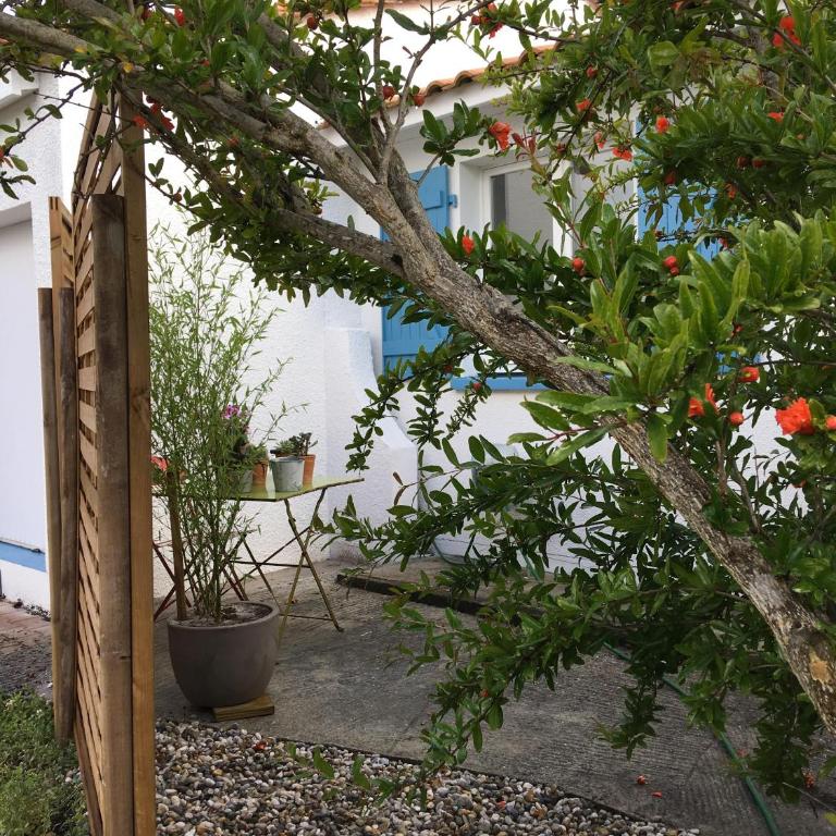 PETIT STUDIO de L'ERMITAGE - Studio - 27