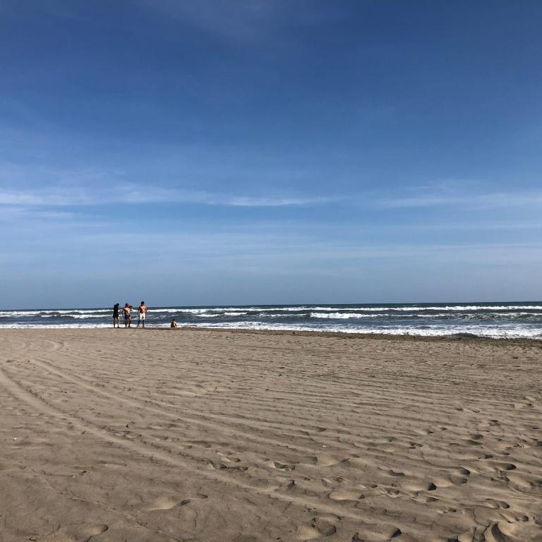 Renta de departamento en Acapulco Diamante - Apartamento de 2 dormitorios - 57